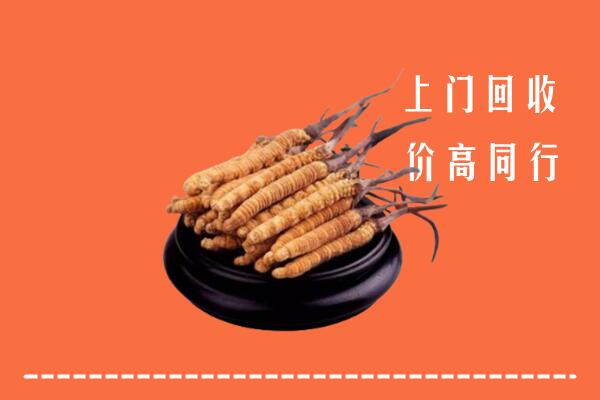 高价求购：永丰县回收散虫草